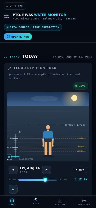 The dashboard on a phone — 3D model first, then the flood verdict banner, then the info cards